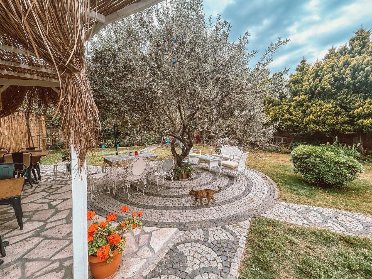 Eden Selene Hotel Ayvalı Εξωτερικό φωτογραφία