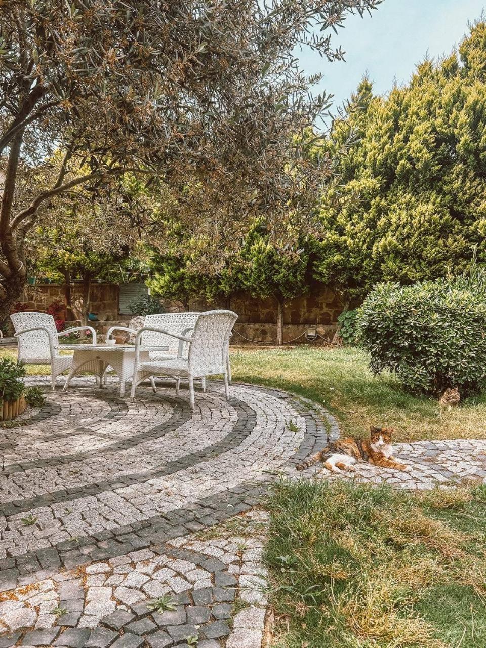 Eden Selene Hotel Ayvalı Εξωτερικό φωτογραφία