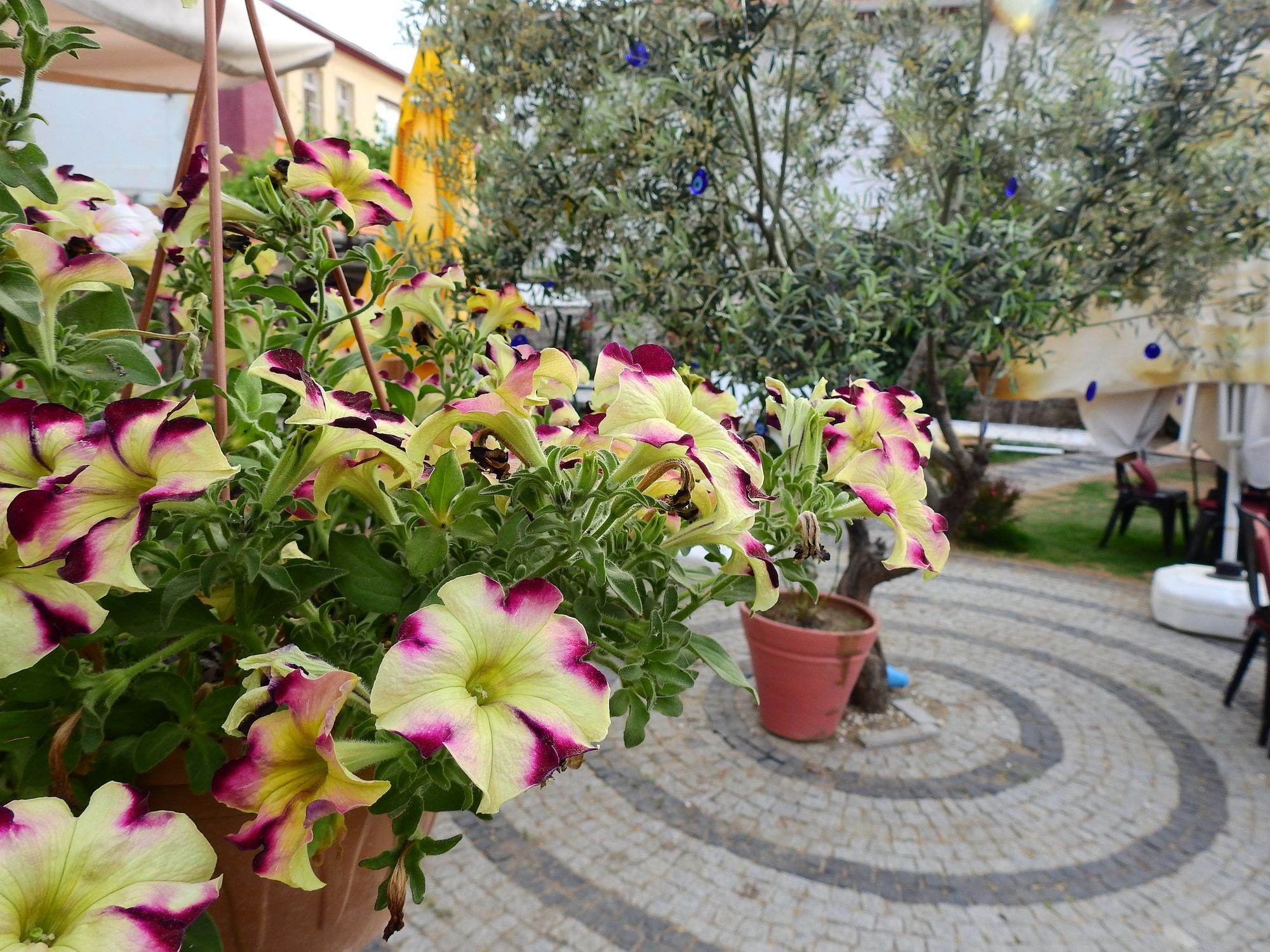 Eden Selene Hotel Ayvalı Εξωτερικό φωτογραφία
